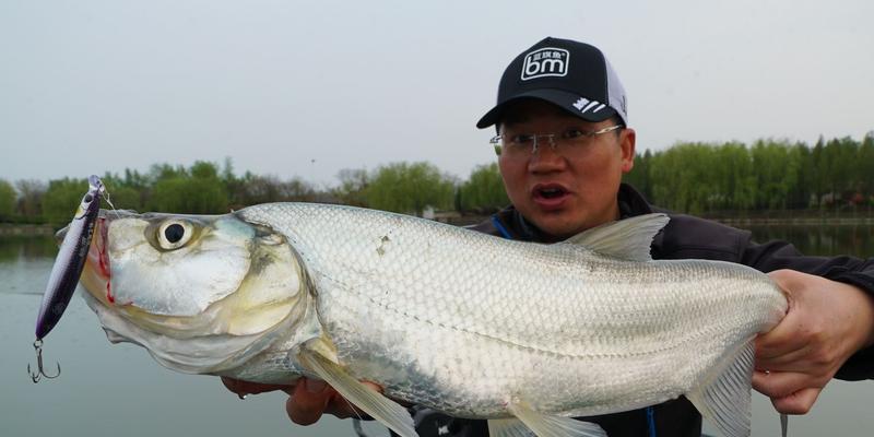 《新笑傲江湖》钓客转职分析（以游戏为主，探讨钓客转职的优劣性）