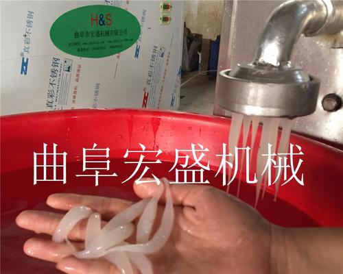 《以食之契约凉虾》技能属性详解（挑战口感极致的美食游戏，探究技能系统的奥秘）