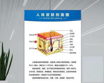 《人体工厂皮肤割伤通关攻略》（用游戏技巧轻松突破难关）