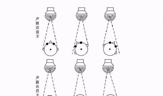 探秘人体工厂听觉中枢（以游戏为主的听觉中枢通关技巧）