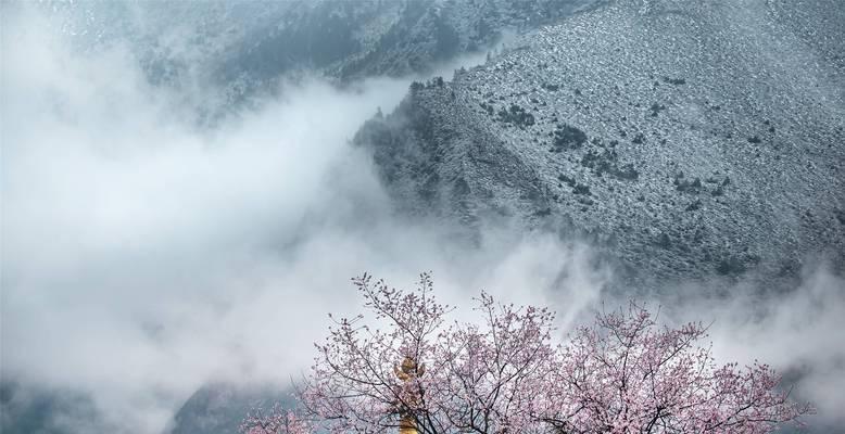 桃源仙境云影加点攻略（轻松掌握云隐属性点加点技巧）