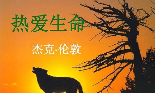 《超维对决》杰克最强出装攻略（超维对决杰克出装推荐及玩法分析）