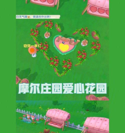 《摩尔庄园手游》拉姆花坛获得攻略（提高战斗力）