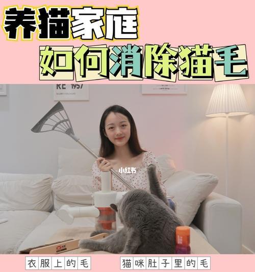 小森生活养猫攻略（游戏中如何养猫）